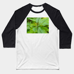 Giant Dragonfly Baseball T-Shirt